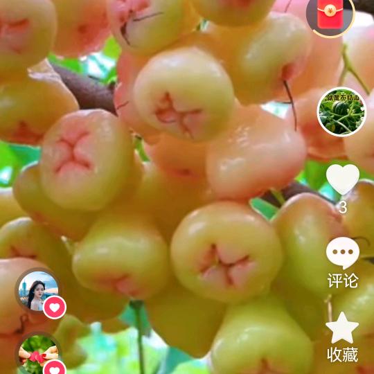 知足常乐