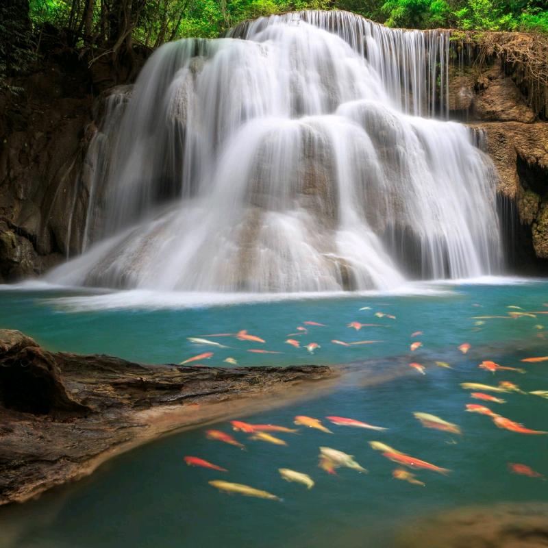 做个坚强的女人