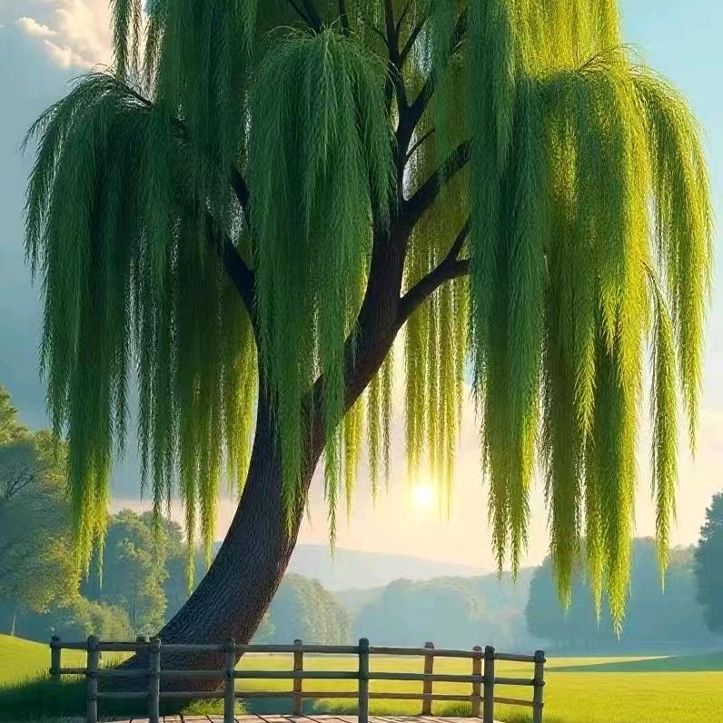 豫巾虚炒个步兴兵舞