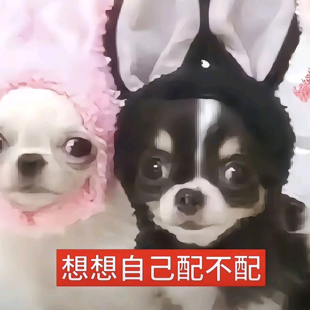 第七秒泪滴（被限流版）