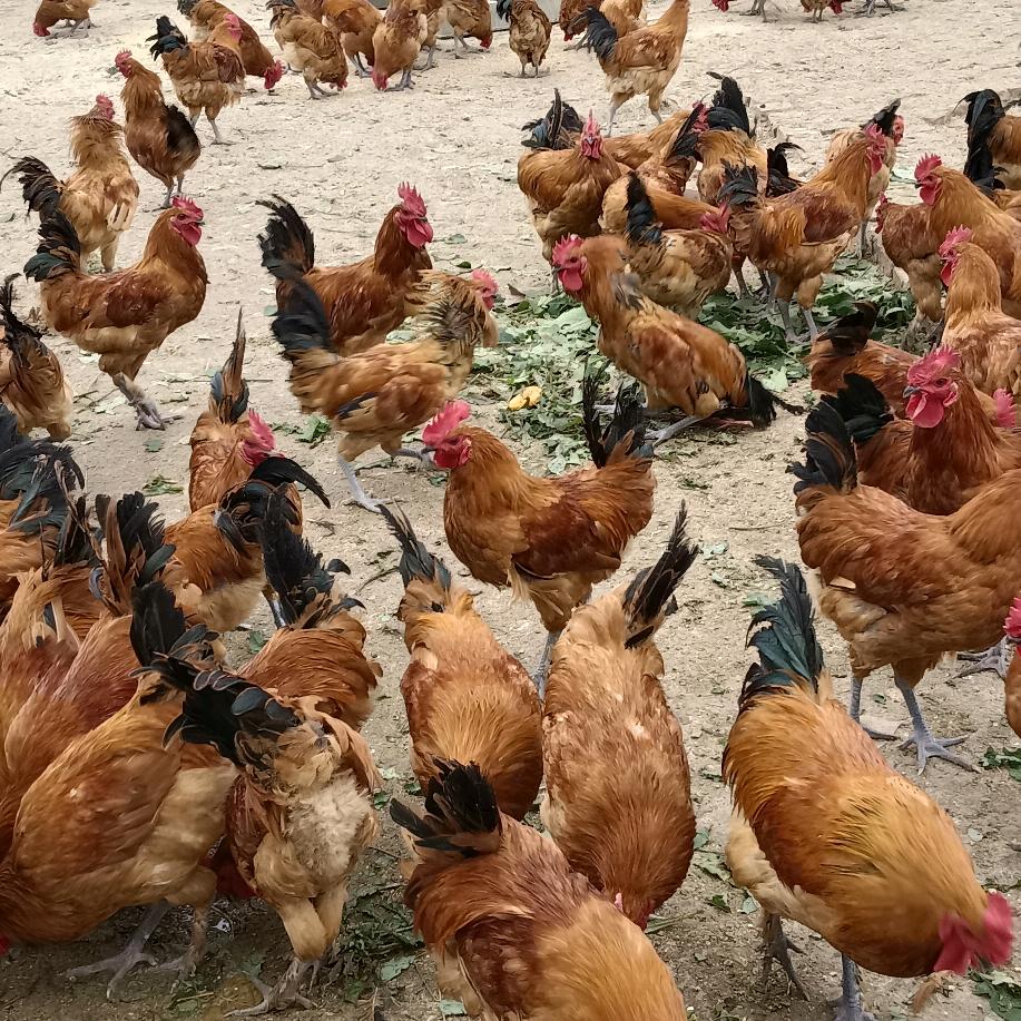 赠人玫瑰，手留余香