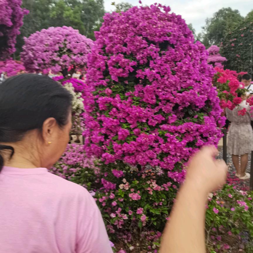追求下一站快乐开心