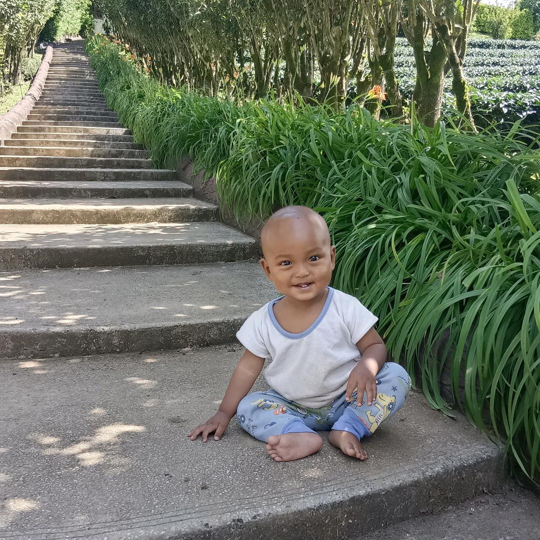 田NYI PAI ru kaung