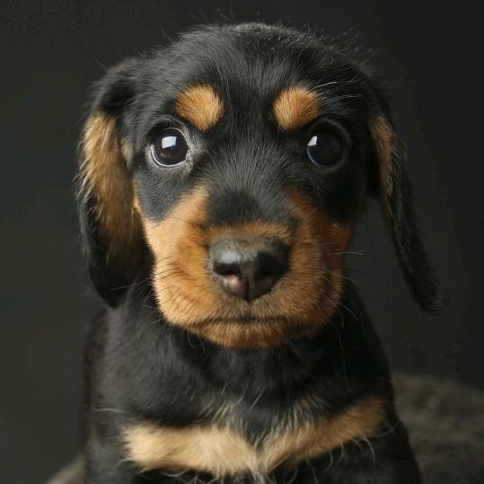 冰冷的屁股贴滚烫的脸