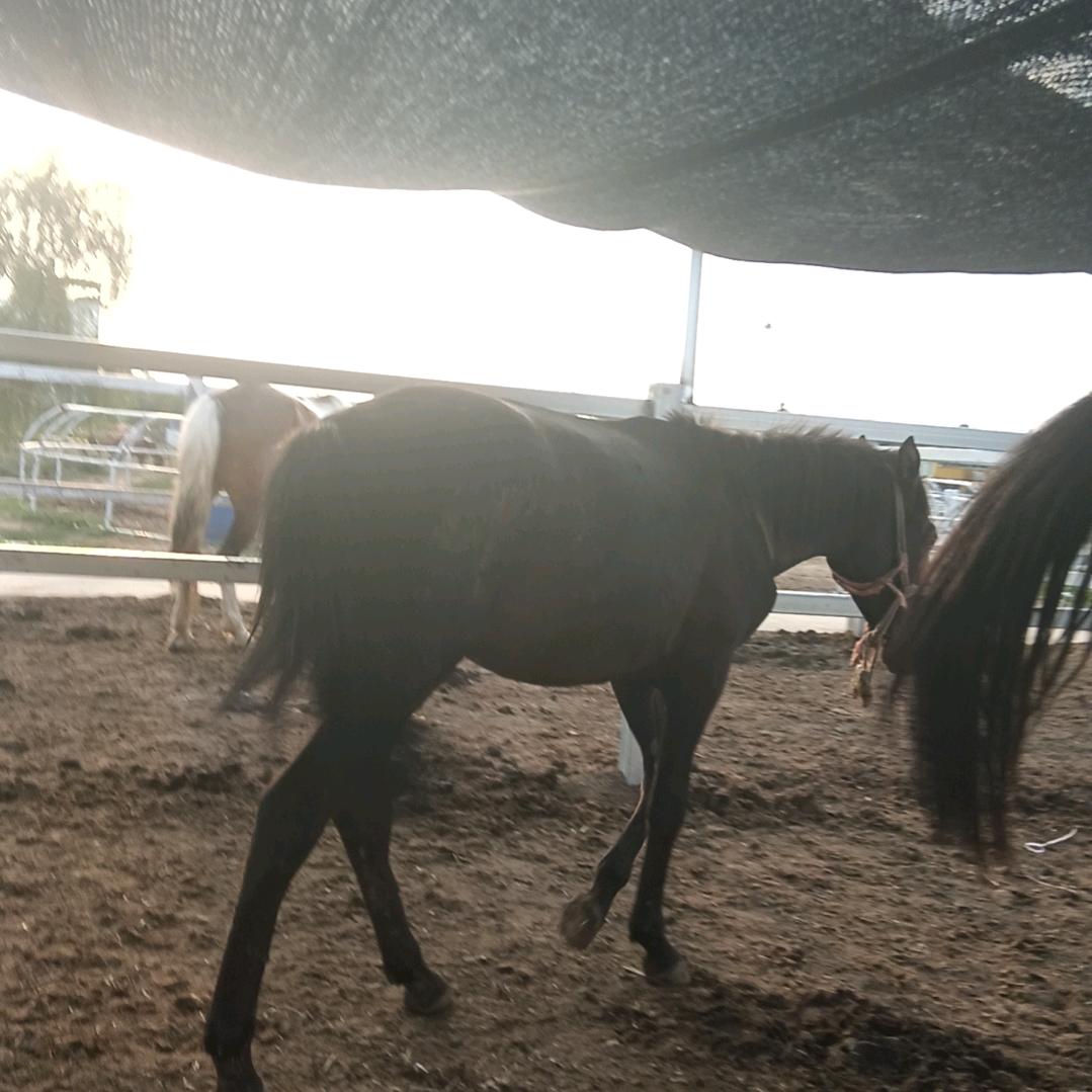 你不董我的❤️心