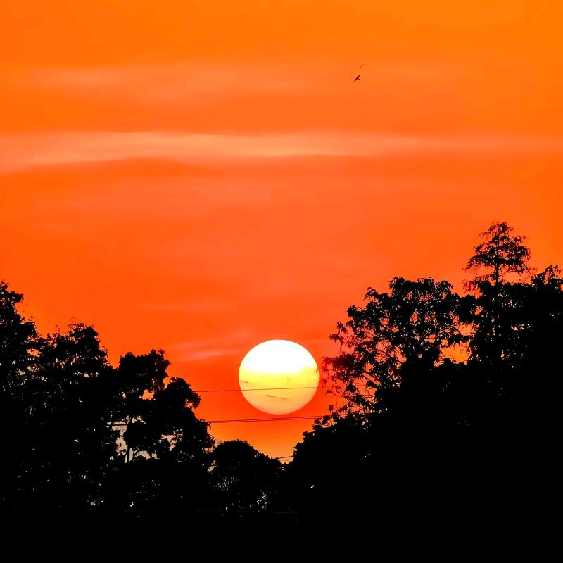 烟🚬雨斜阳🇨🇳