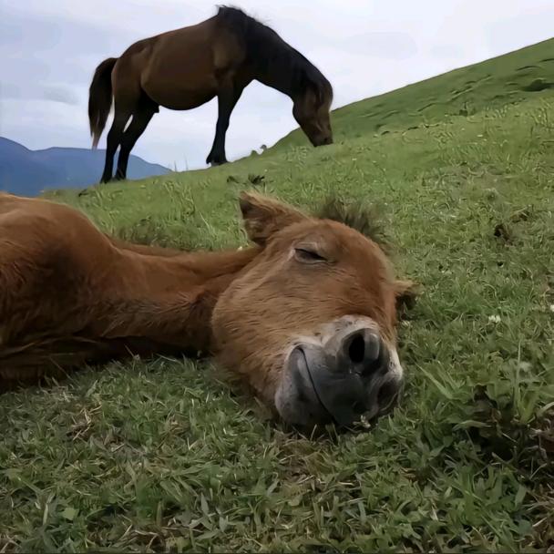 骏捷灯饰