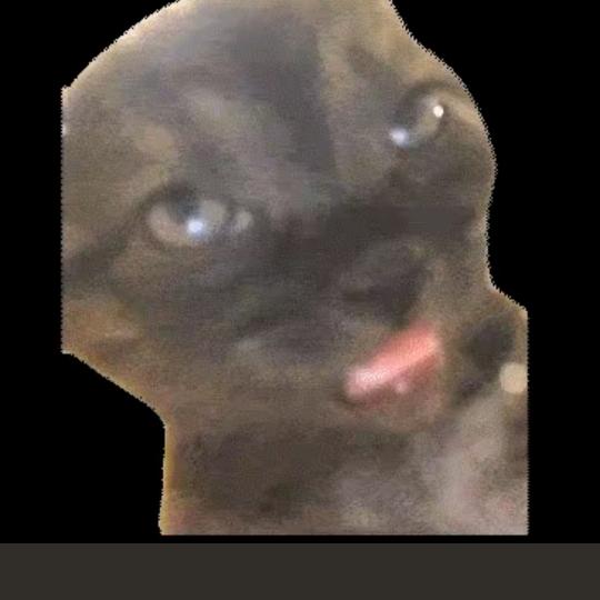 ！