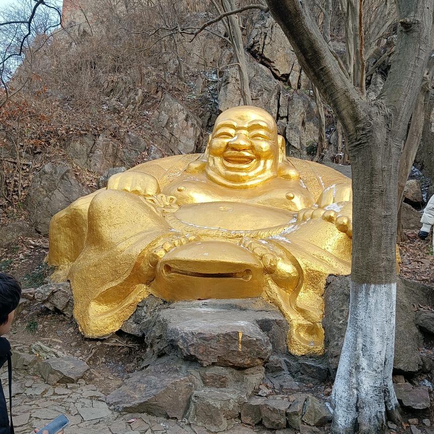 小龙