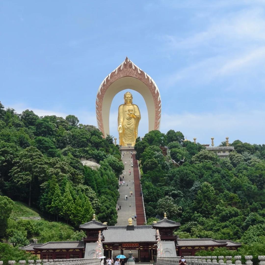 行行行