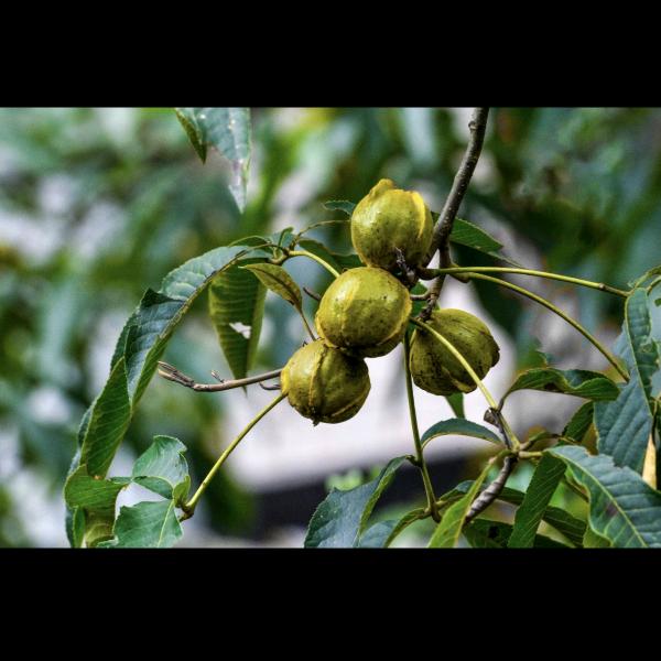 只要开心就好杭州锋哥