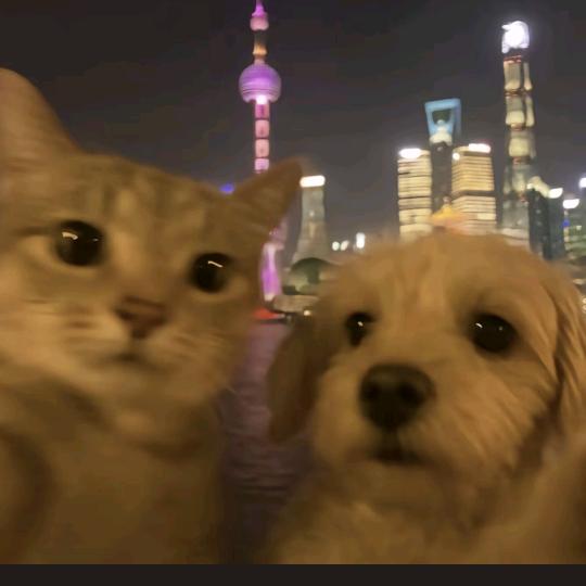 一颗大橘子