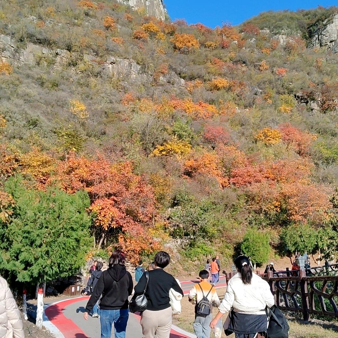 邢台新房团购小李