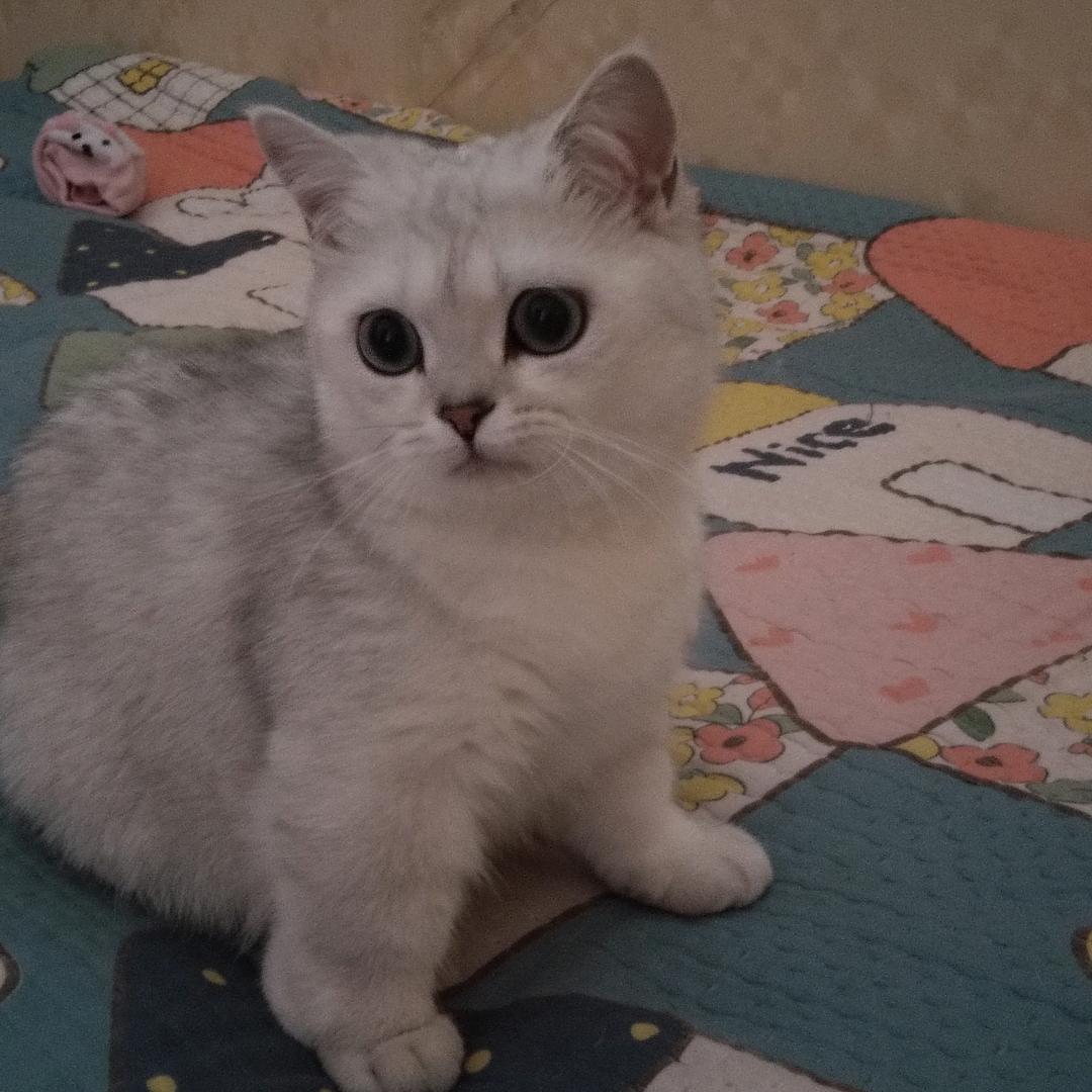 骤降骤降
