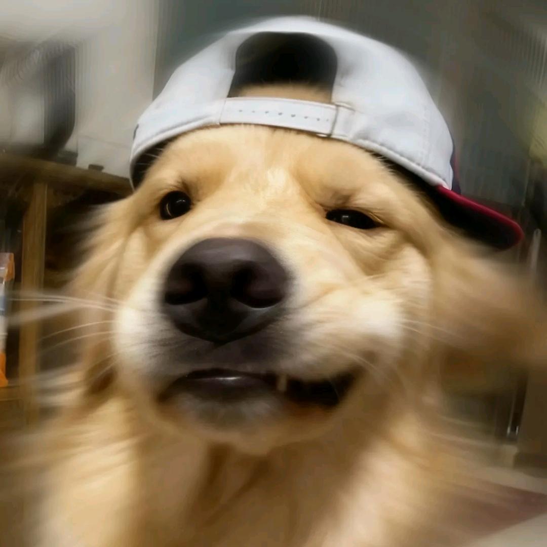 木目心上念