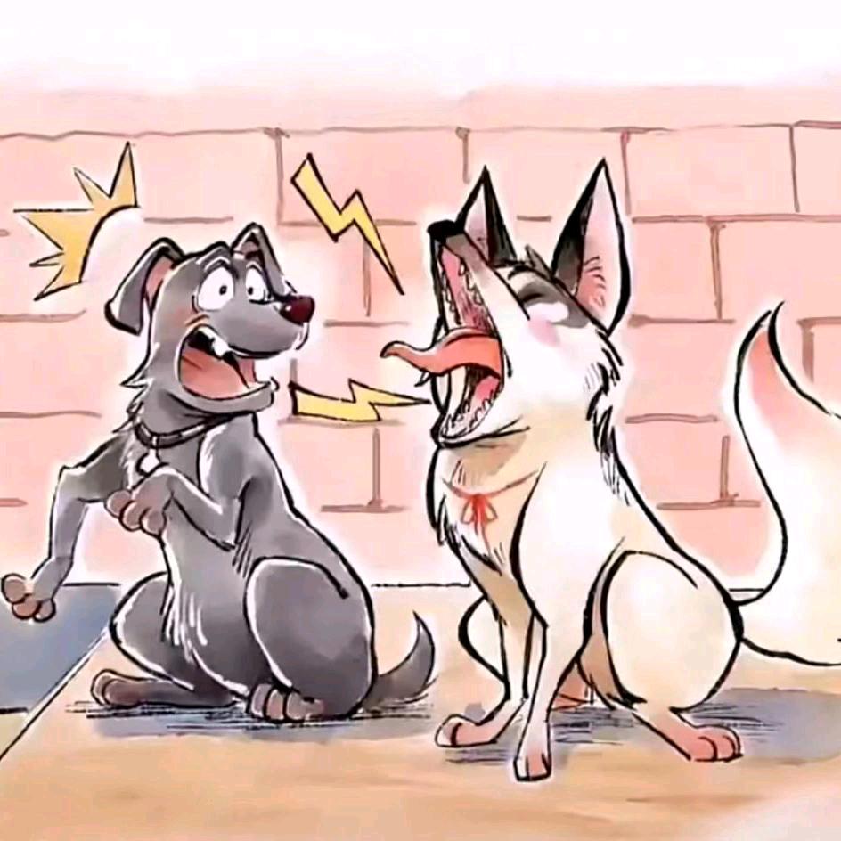 小帮&说书