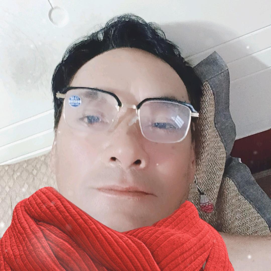 86549646225
