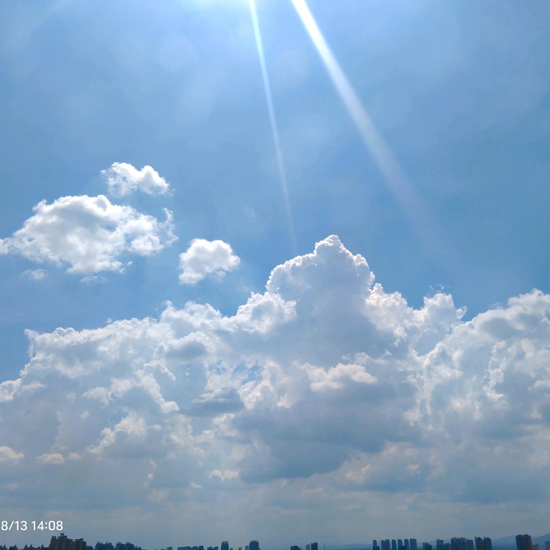 羽汝