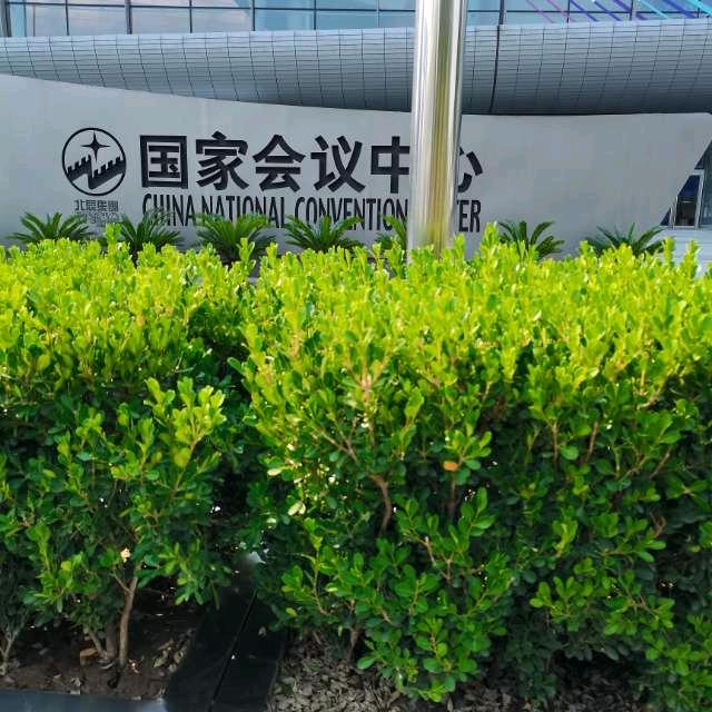 只有努力才有璀璨人生