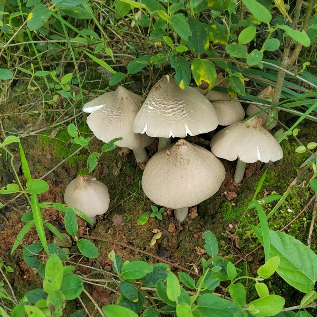天天发财