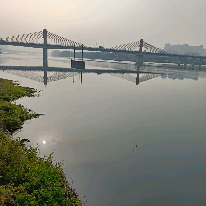 陈陈