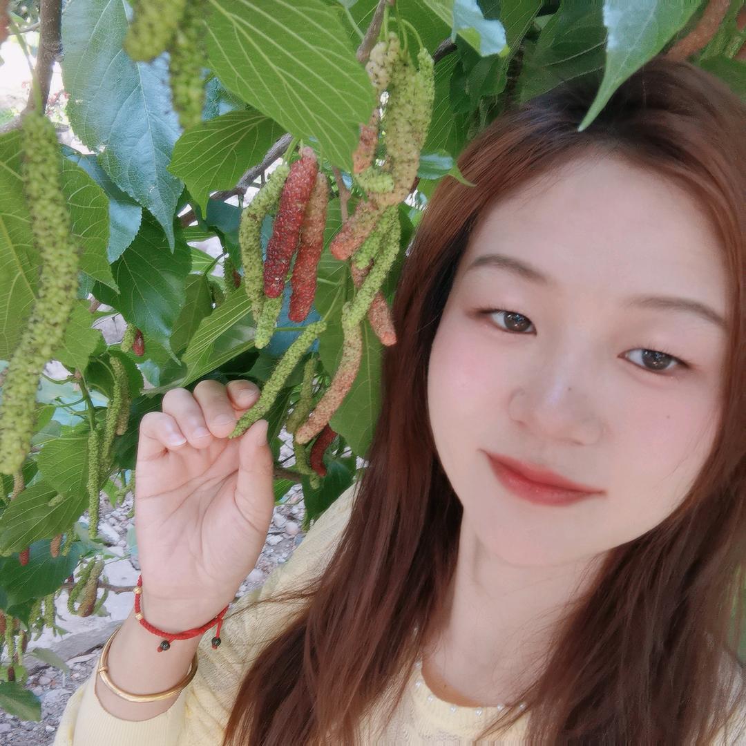 小酒窝的桑葚小院