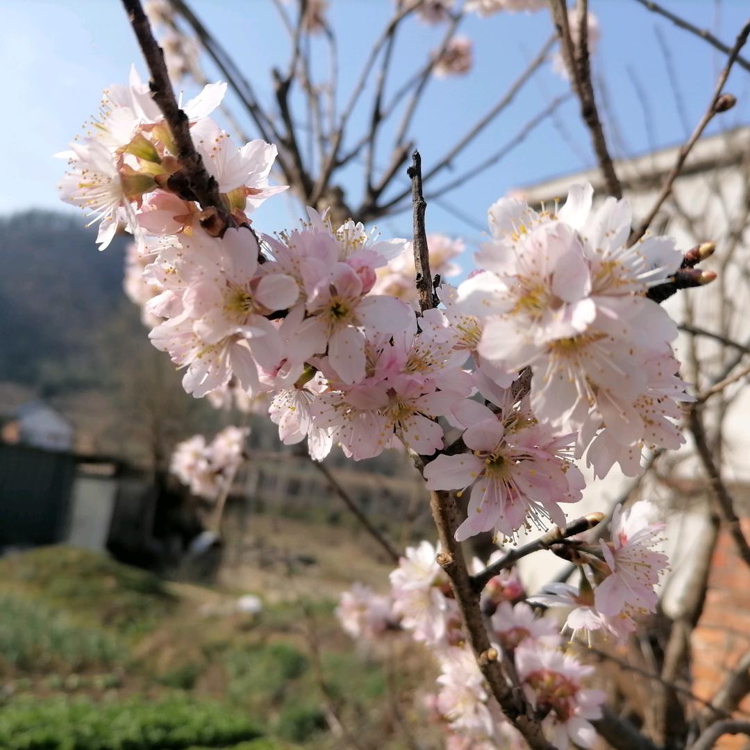 ｀ 初心.･ ｡･ﾟ