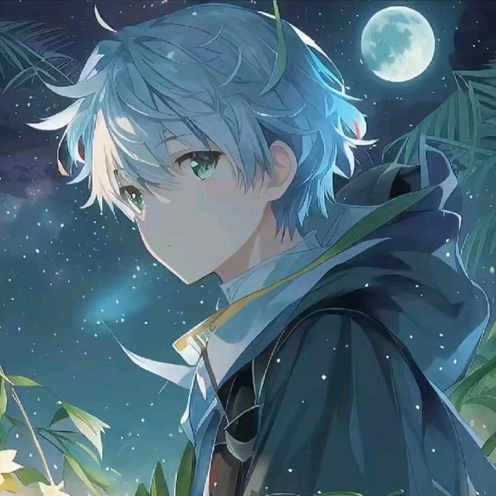 少年时的梦（努力中）