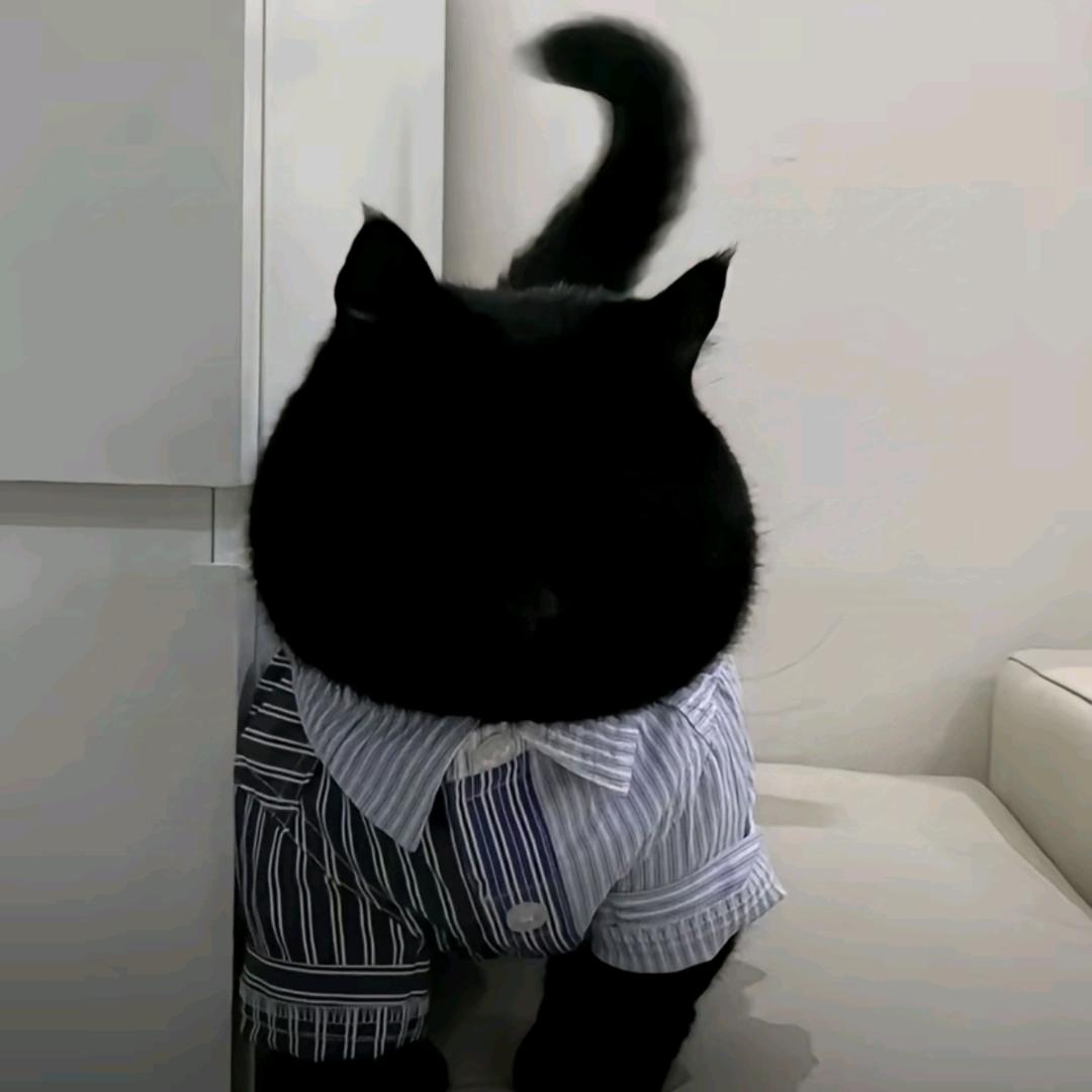 开心果