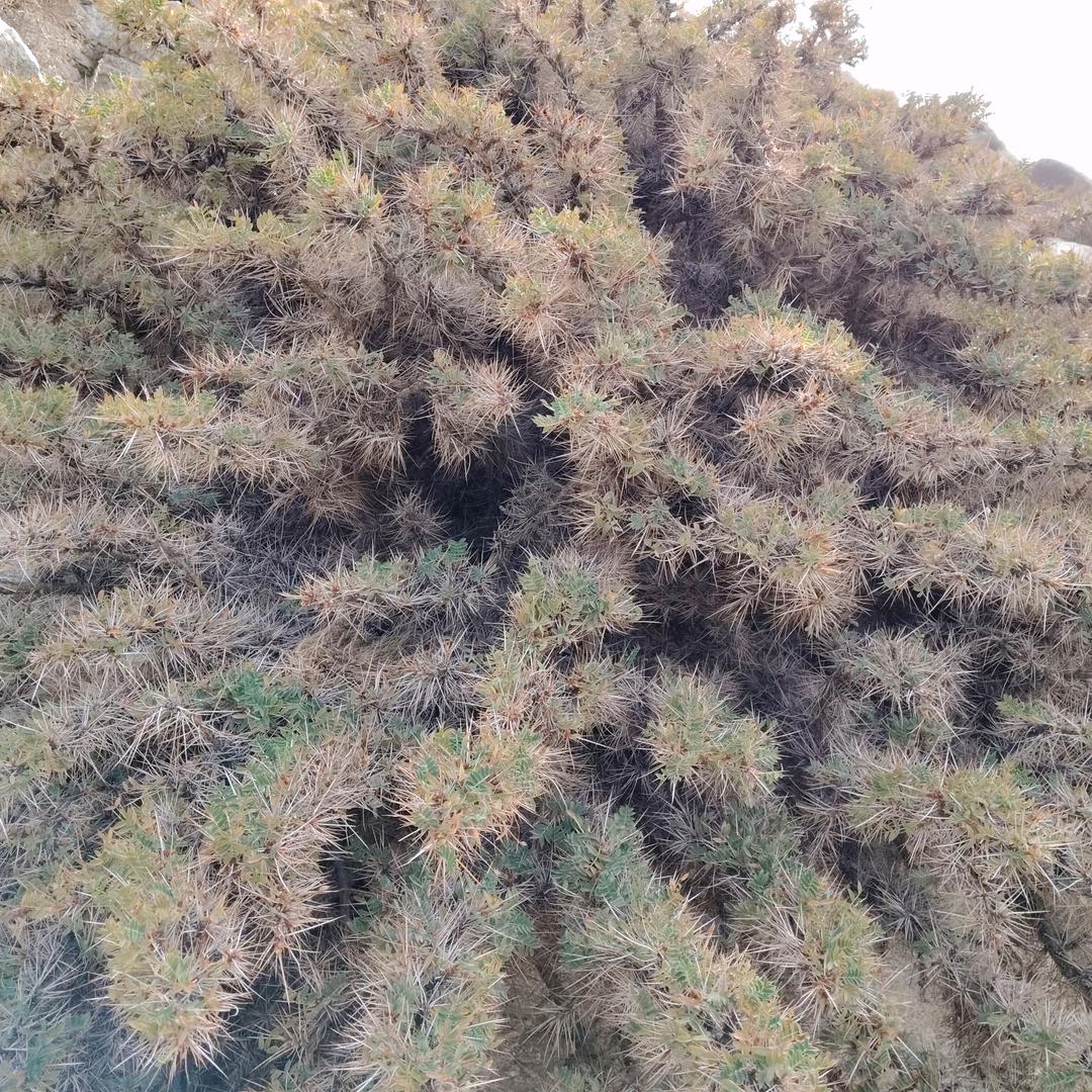 沉默