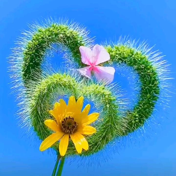 ꧔ꦿ᭄࿐: ღ᭄听说糖🍬很甜  ᭄💞