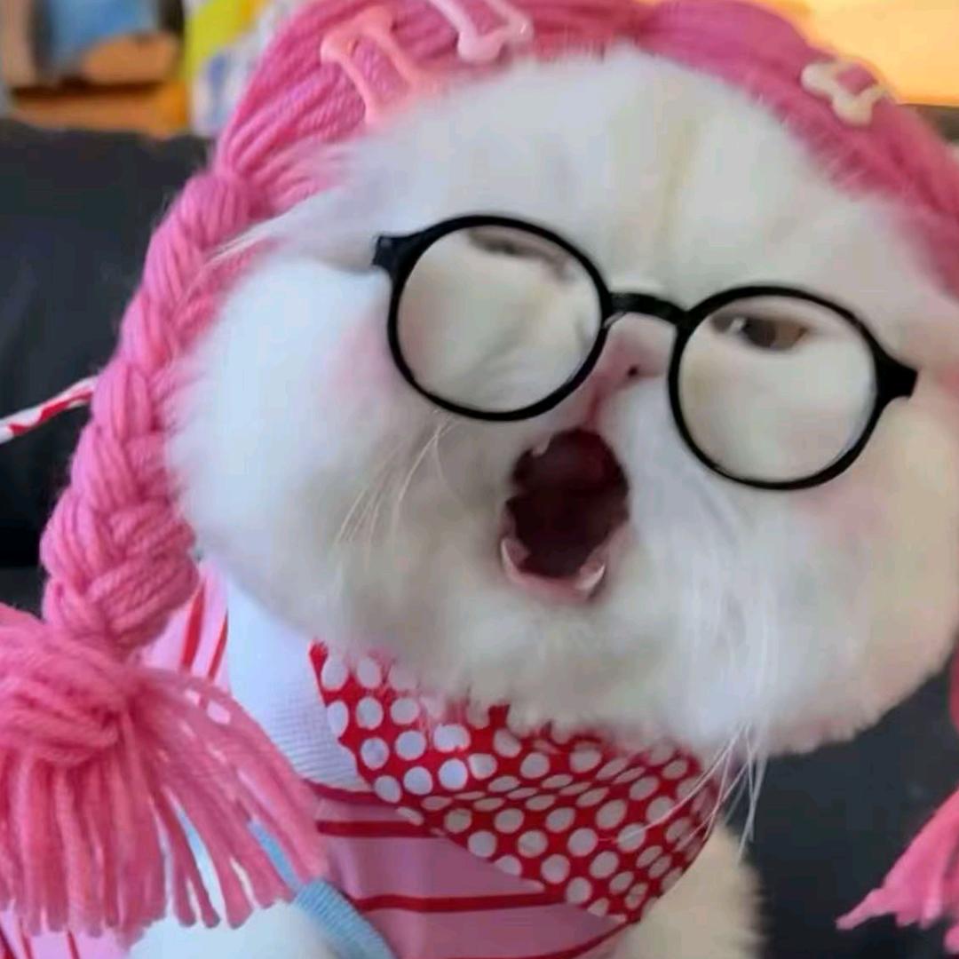 周周说剧.