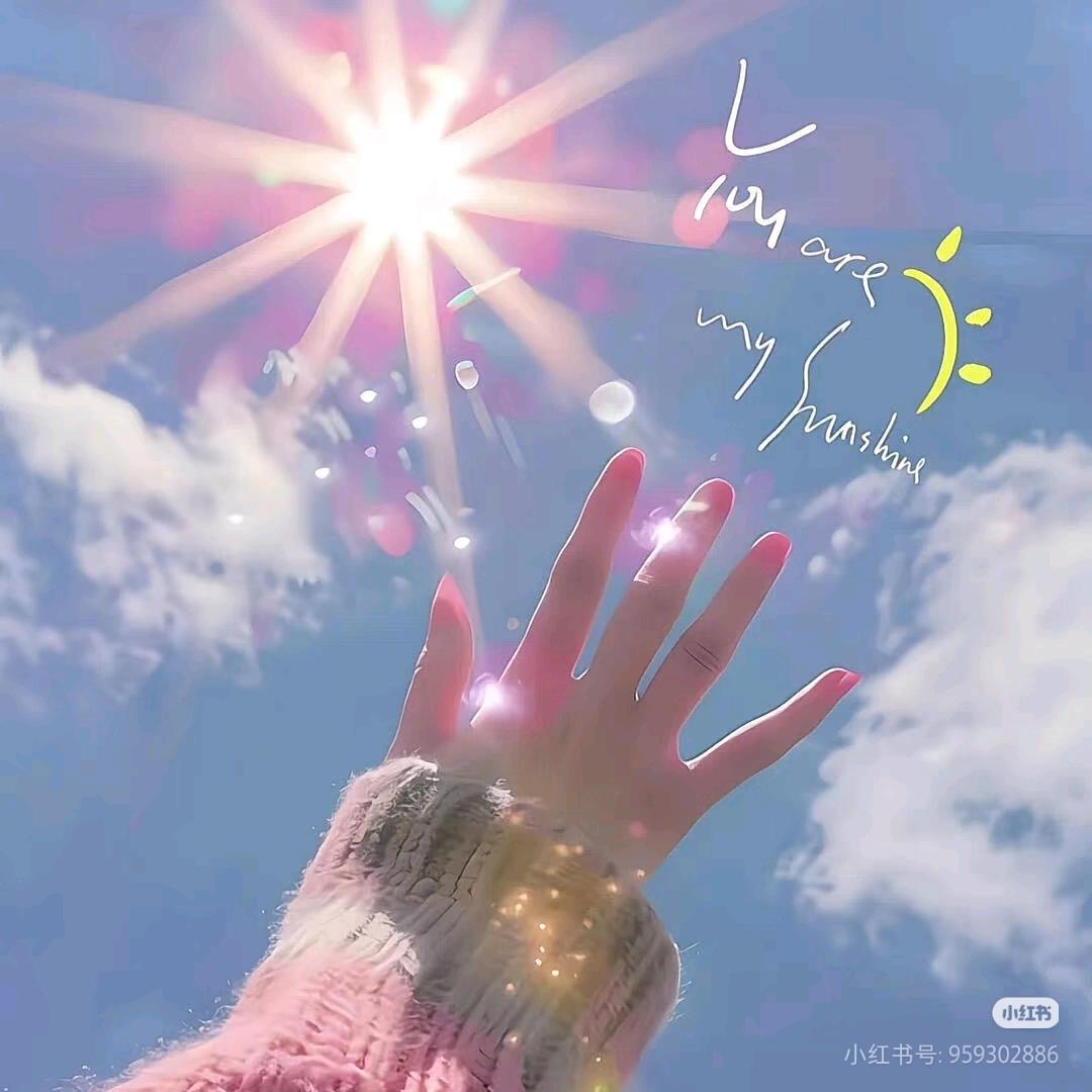 人间小太阳☀ᰔ
