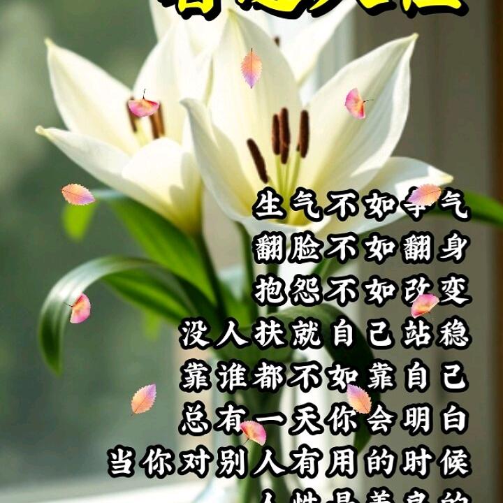 潇洒人生