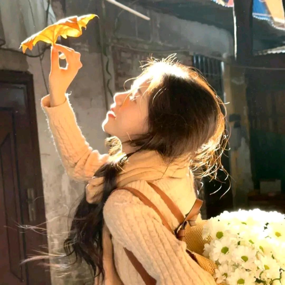 星星学姐💫
