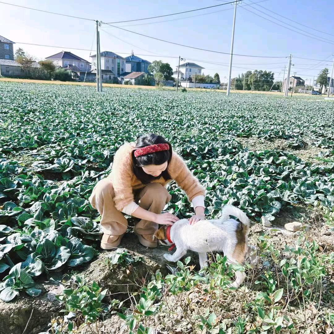 植得三农优选