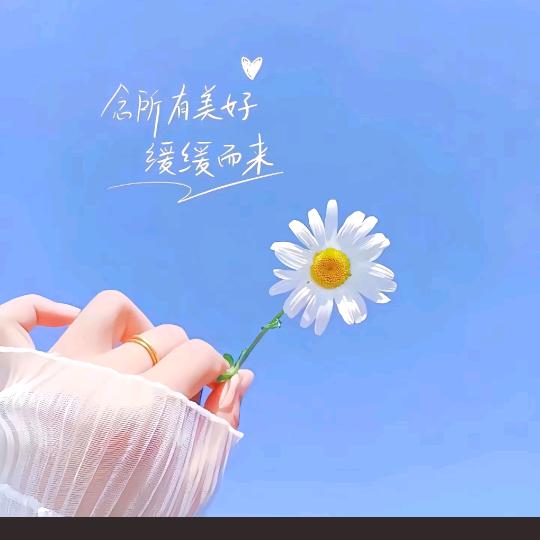 娟子