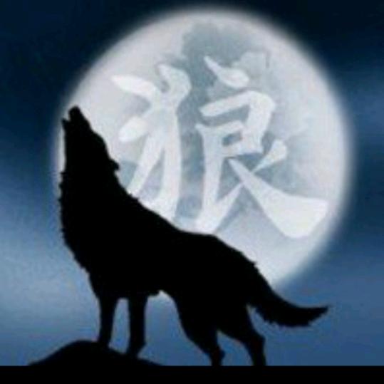 🇨🇳孤🐺狼🔥⁹²¹