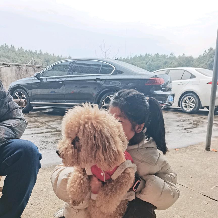 永新新通车行容容@