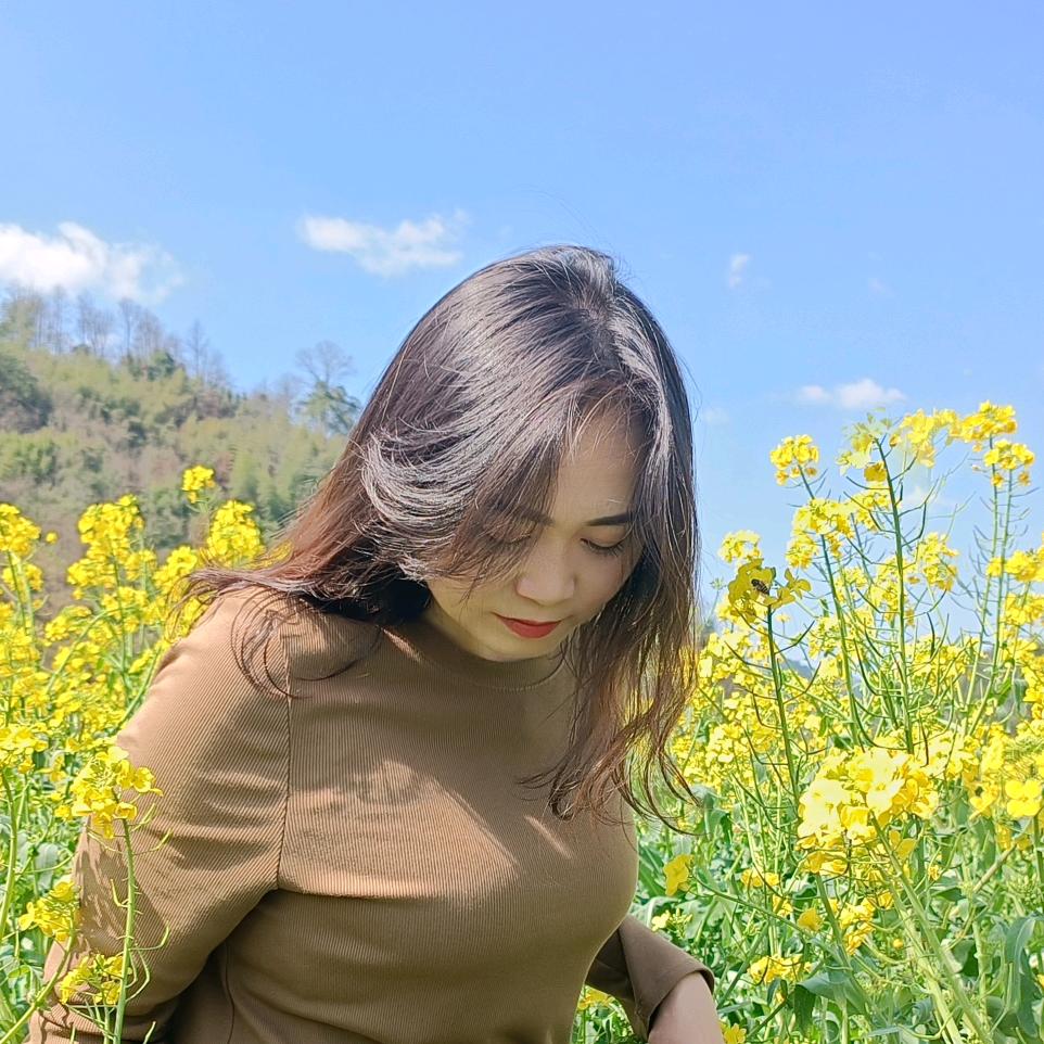 🍀🌻迷雾破晓🌻🍀