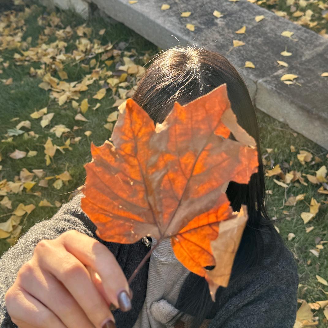 泡泡爱拍照（还没想好版）