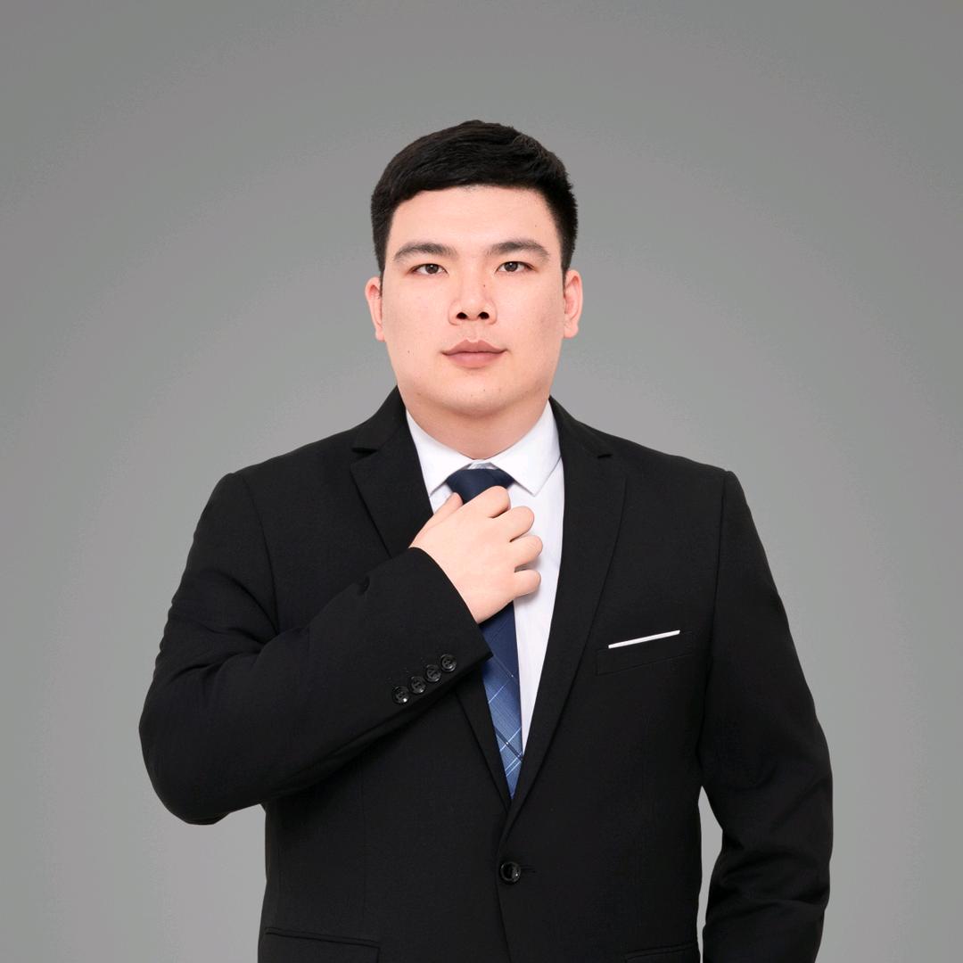 路维森墙布（大盛）