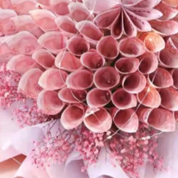 天茹有情天有亦老