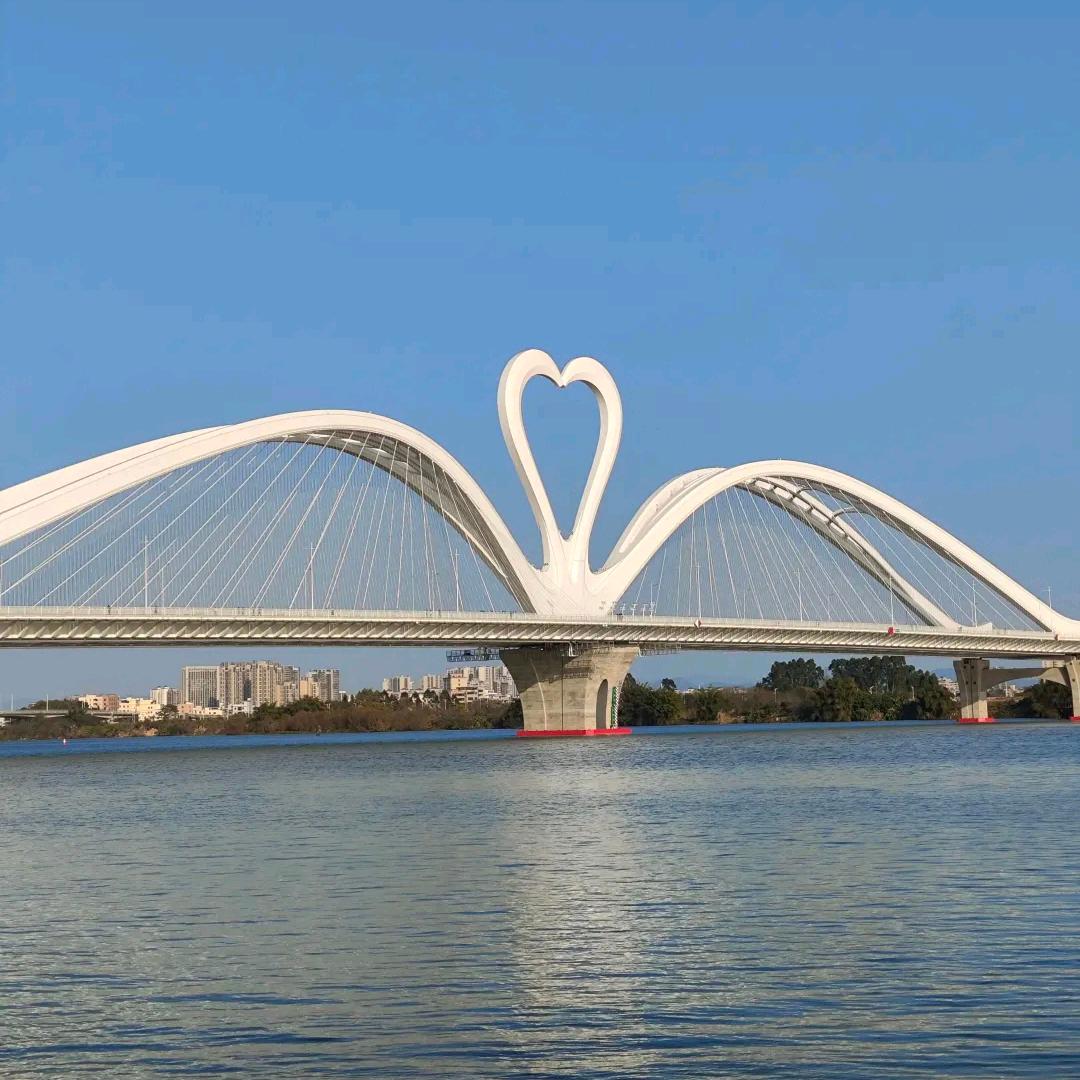 带刺的玫瑰🌹🌹