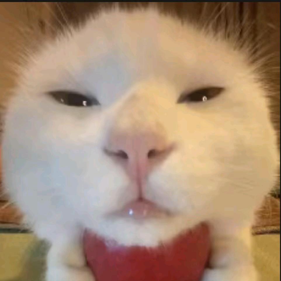 假如鱿鱼丝一种天赋