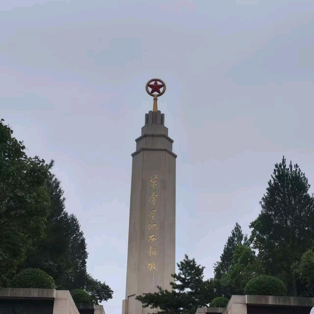 糟老头子坏的很