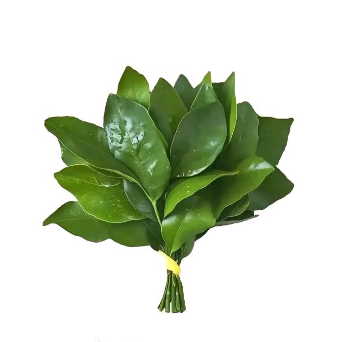 超能小贾