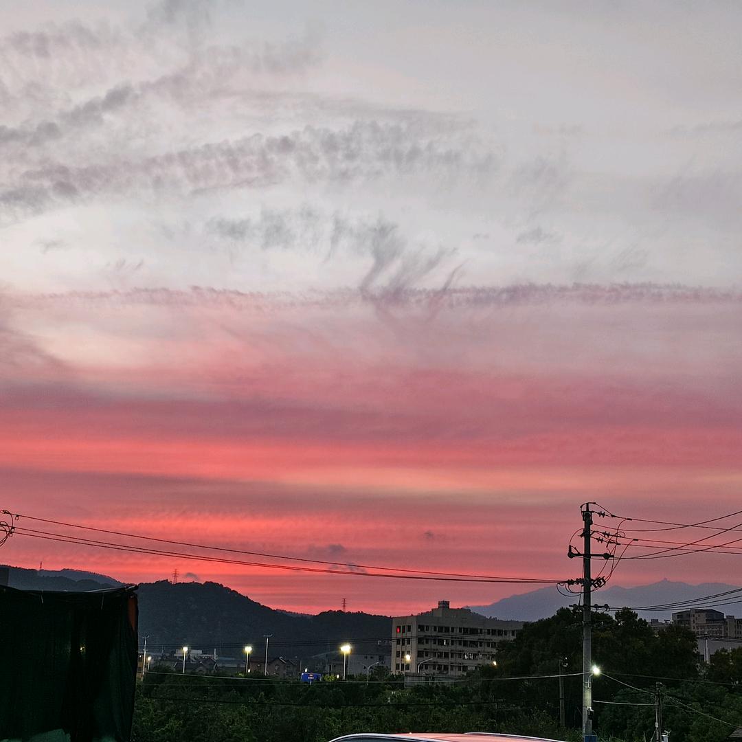 鄒邹(我家有赣南脐橙)