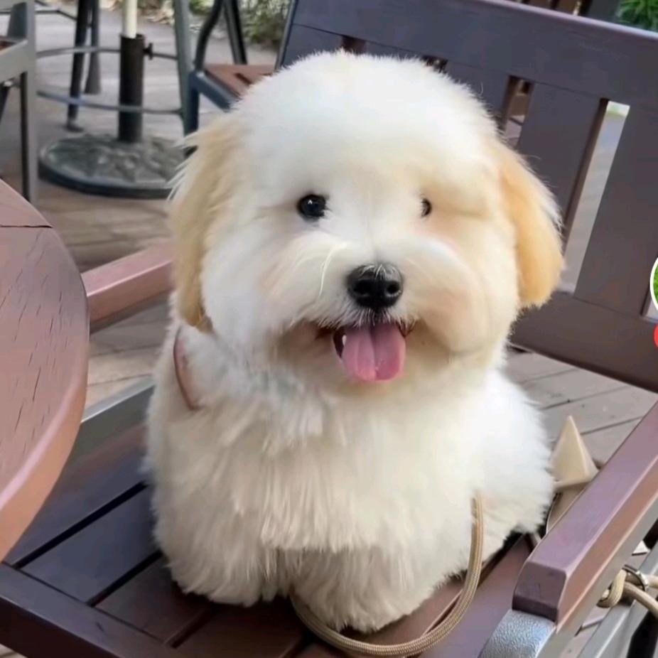 三点半