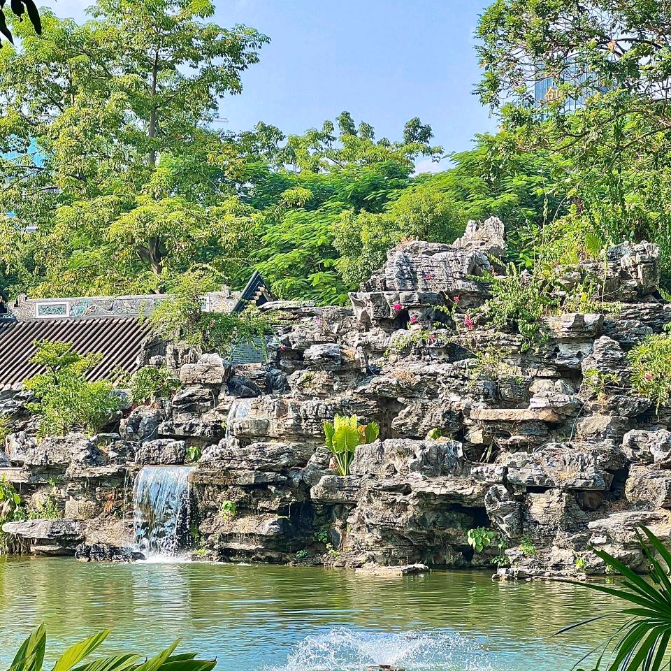 阿丽